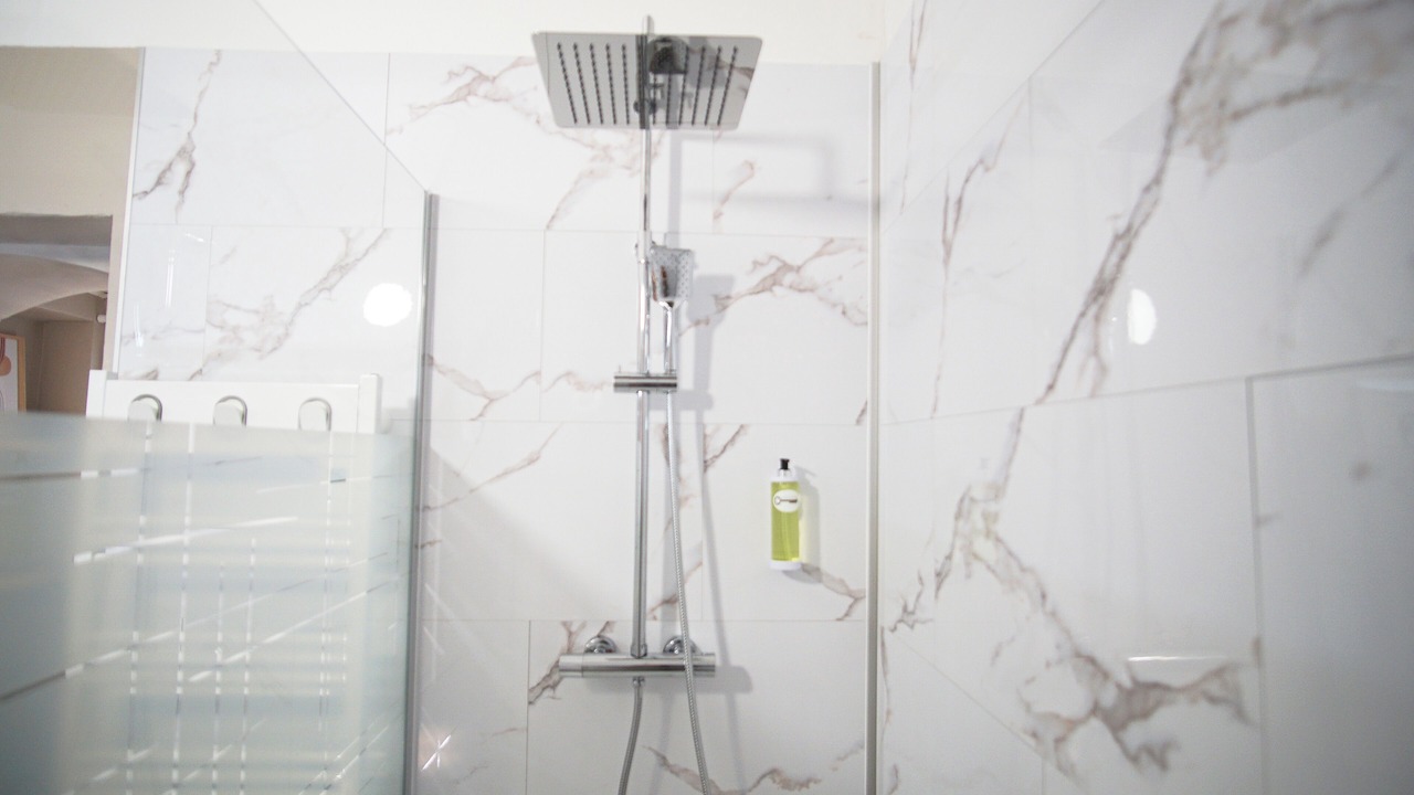 Photo of Bathroom in Saint-Jean-de-Valeriscle