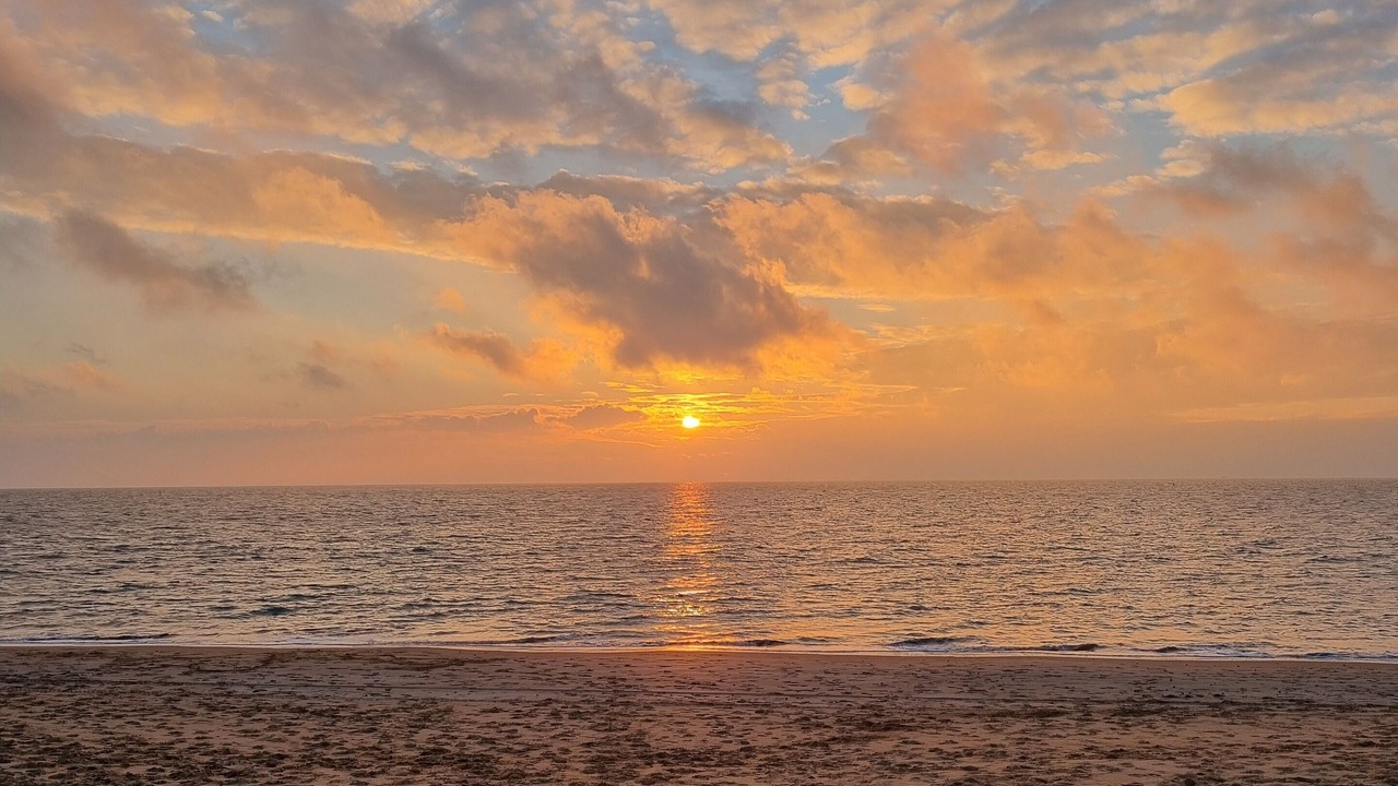 Photo of Others in Lucon