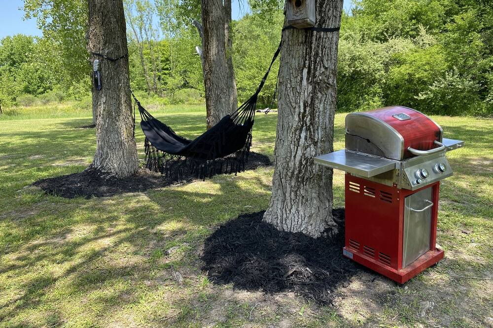 Photo of Outdoor in South Butler