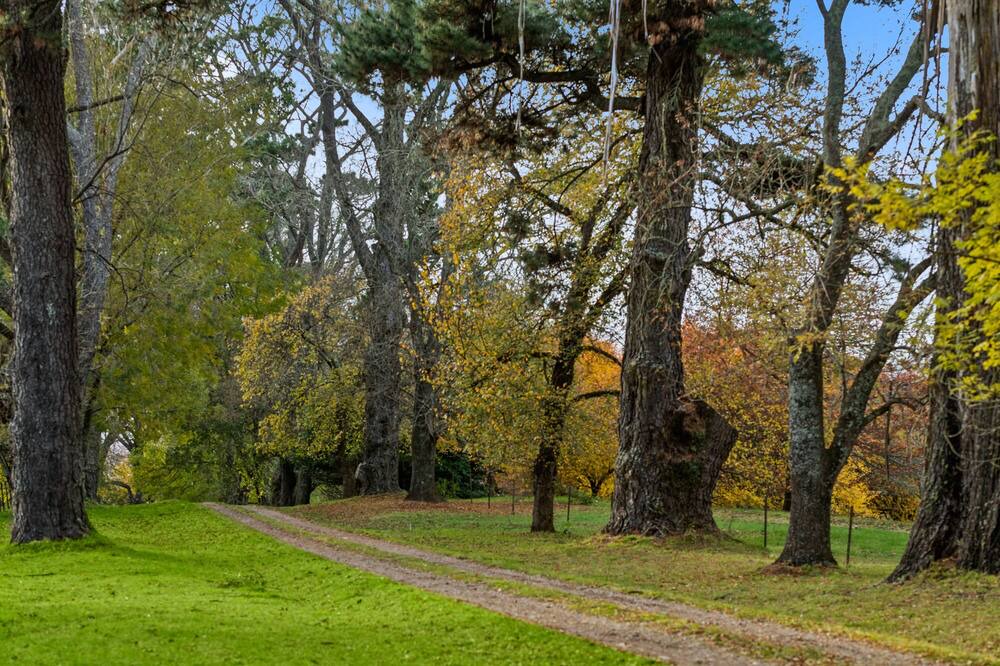 Photo of Outdoor in Bundanoon