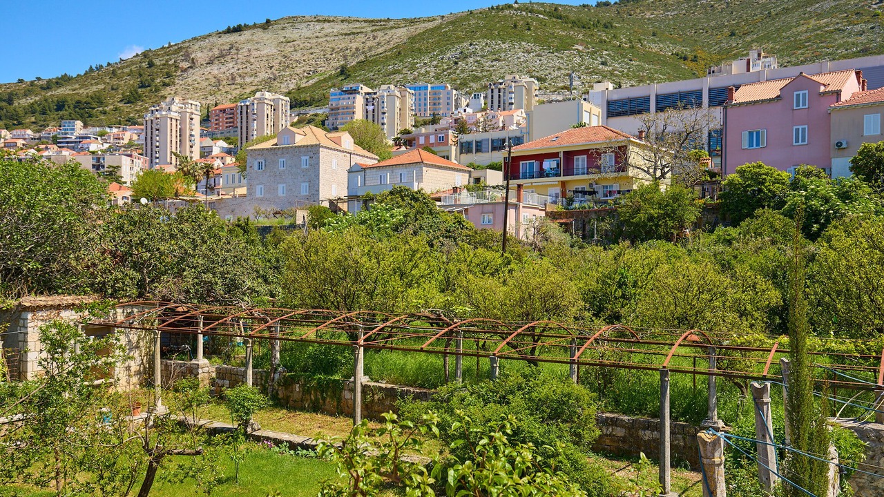 Photo of Others in Dubrovnik