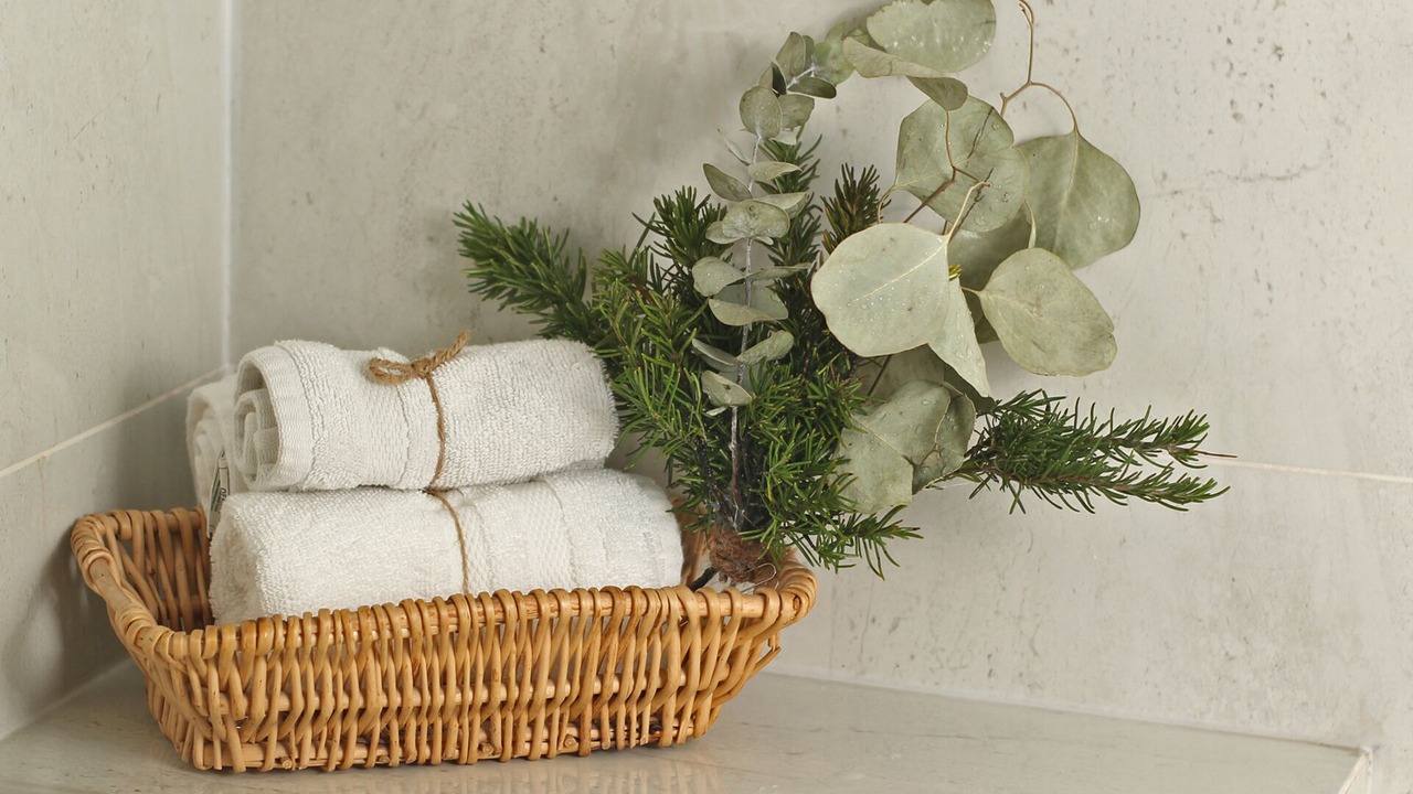 Photo of Bedroom in La Joya