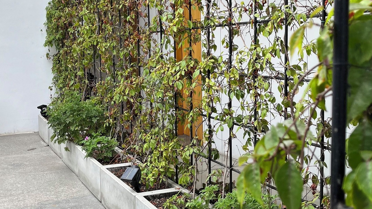 Photo of Bedroom in La Joya