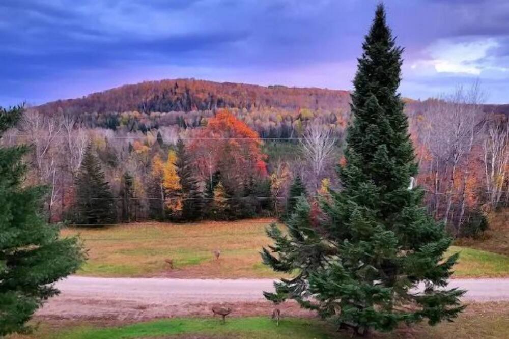 Photo of Outdoor in Montpellier