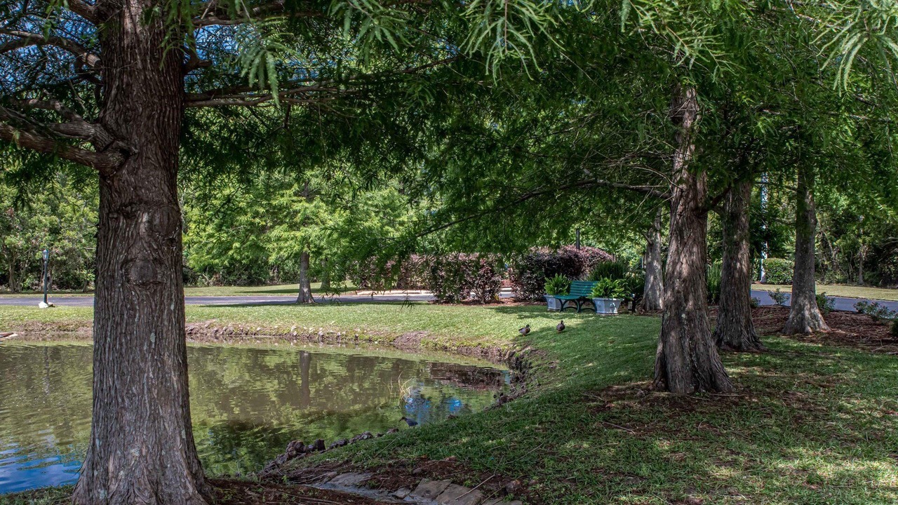 Photo of Outdoor in Gulf Shores