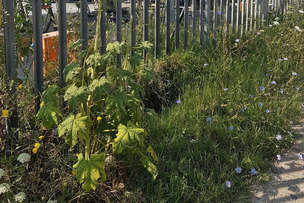 Photo of Outdoor in 16th Arrondissement