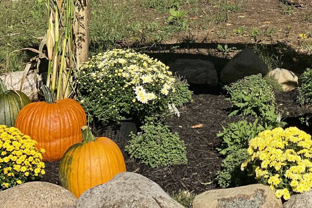 Photo of Outdoor in Middle Grove