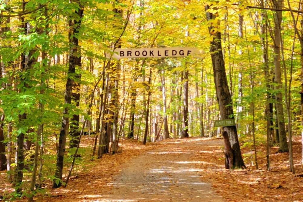 Photo of Others in Middle Grove