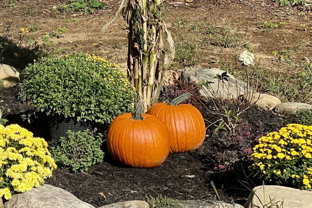 Photo of Others in Middle Grove