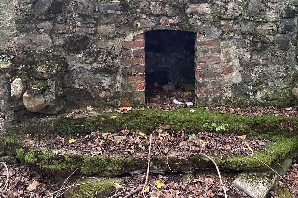 Photo of Others in Middle Grove