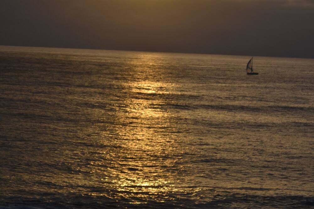 Photo of Others in Labenne-Ocean