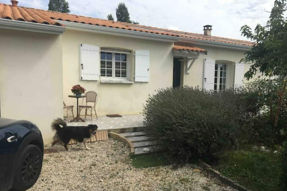 Photo of Outdoor in Chaillevette