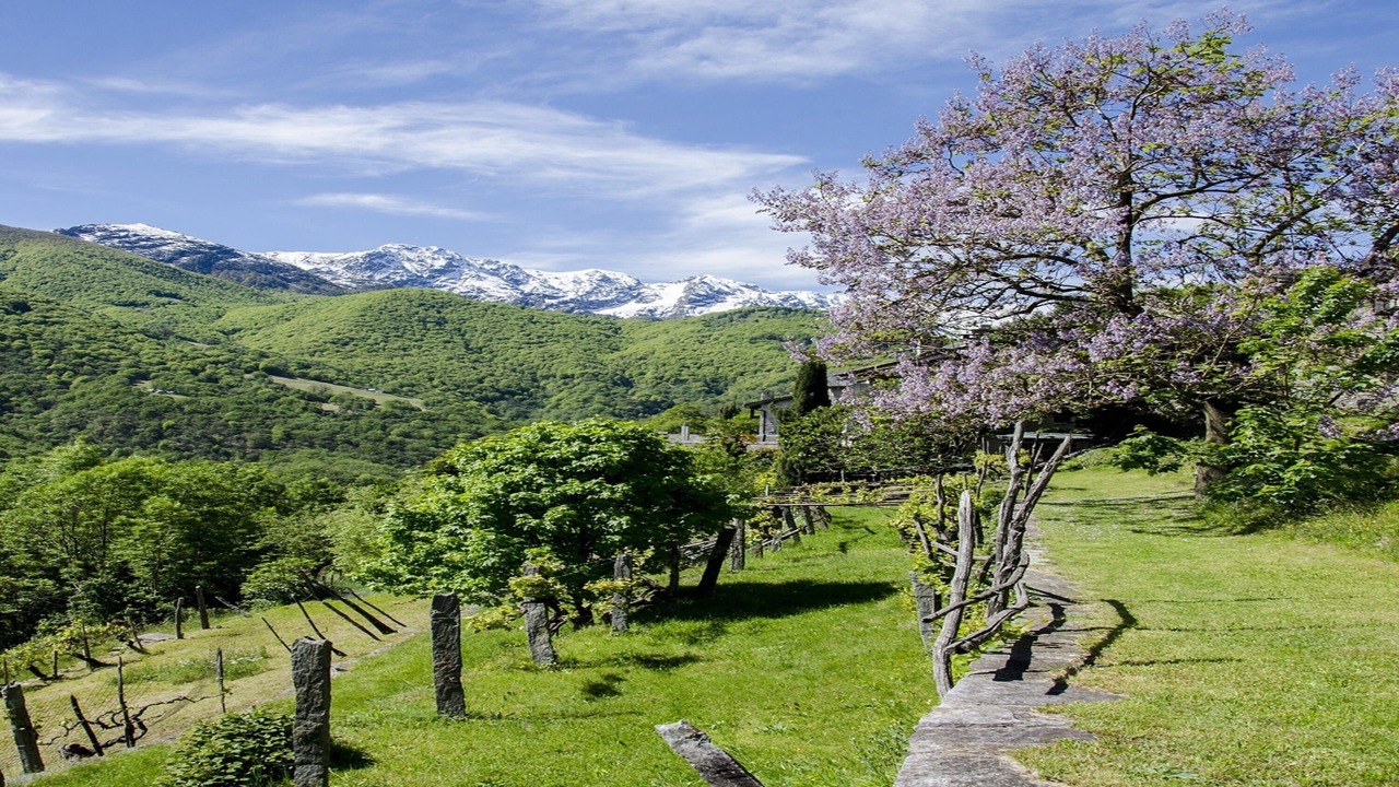 Photo of Outdoor in Cavigliano