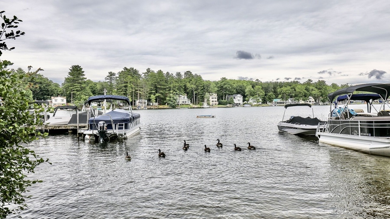 Photo of Others in Lochmere