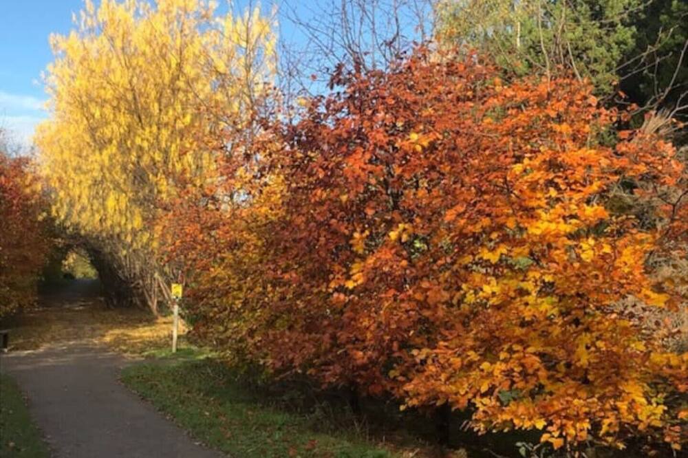 Photo of Others in Cromarty Firth