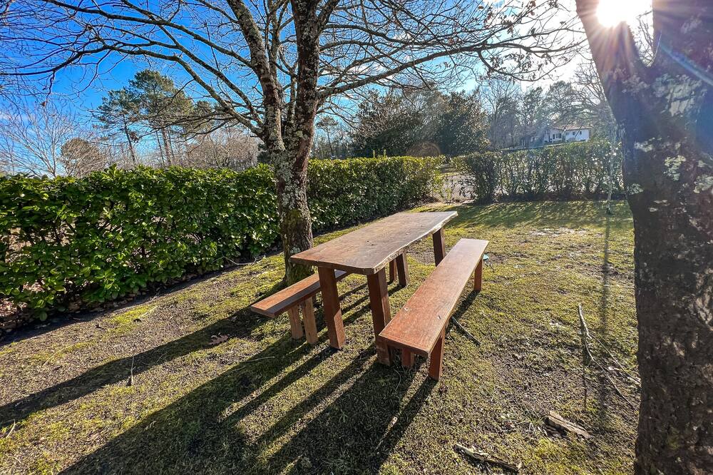 Photo of Outdoor in Mezos