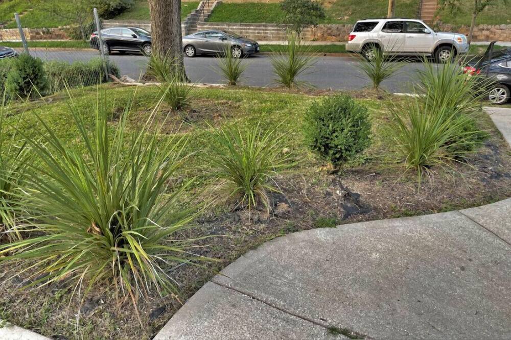 Photo of Outdoor in Southeast