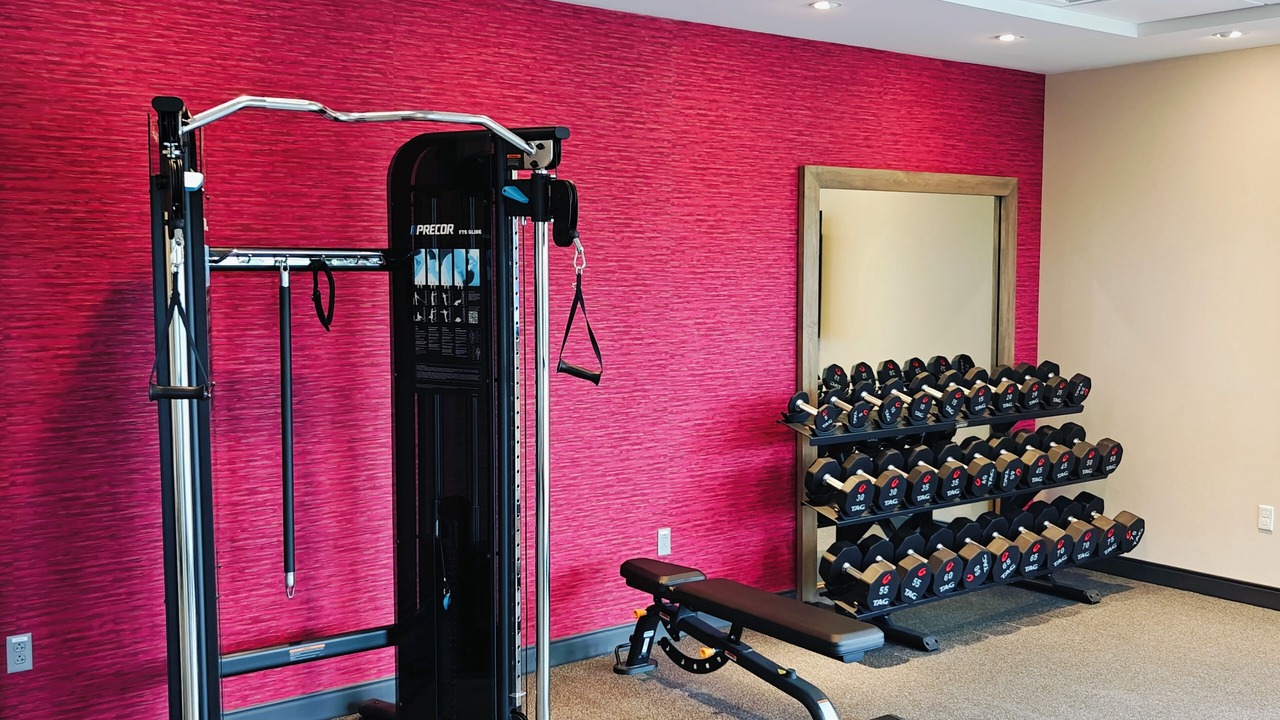 Photo of Others in Bristol