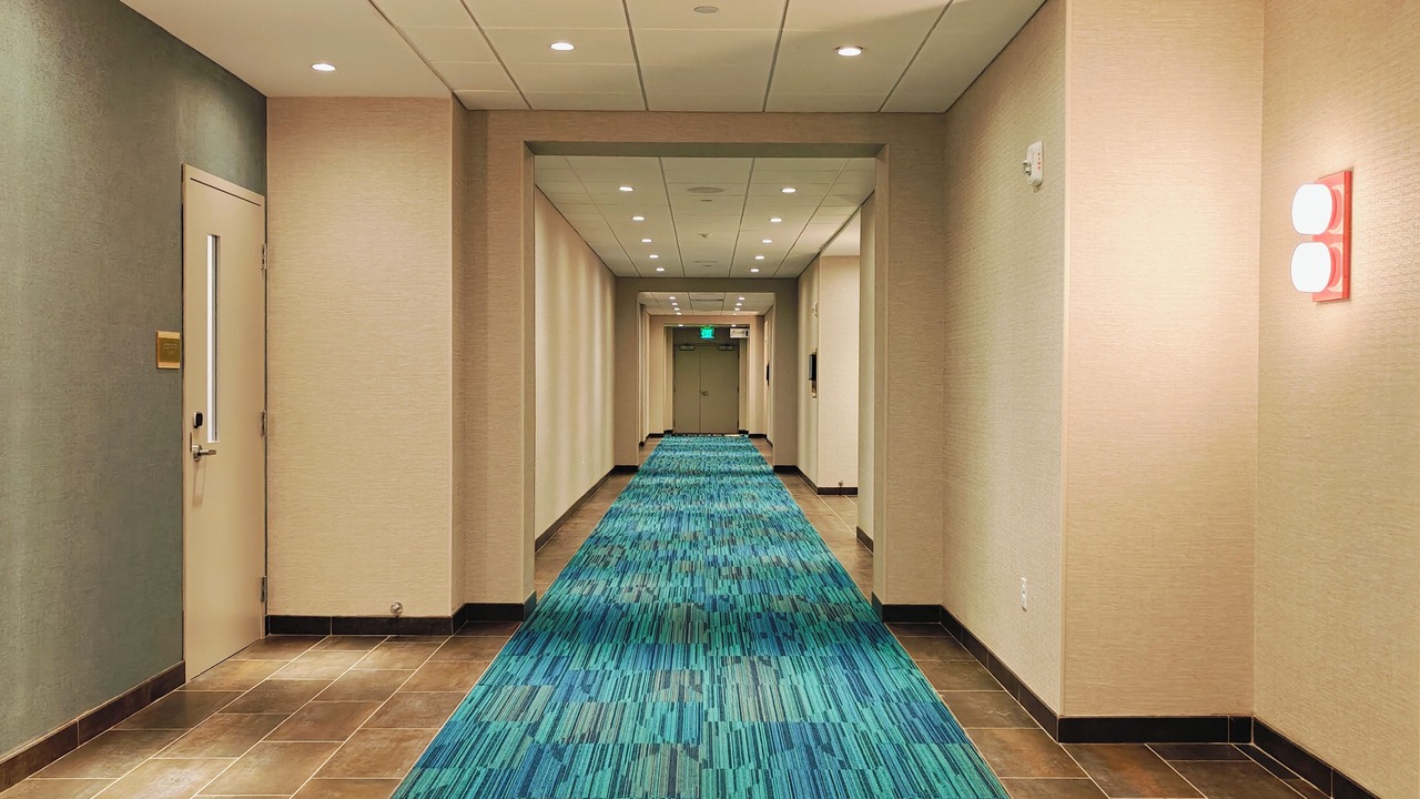 Photo of Others in Bristol