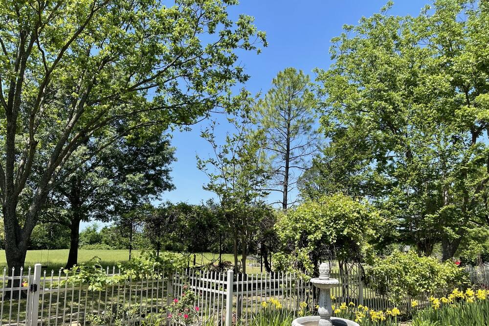Photo of Outdoor in Ennis