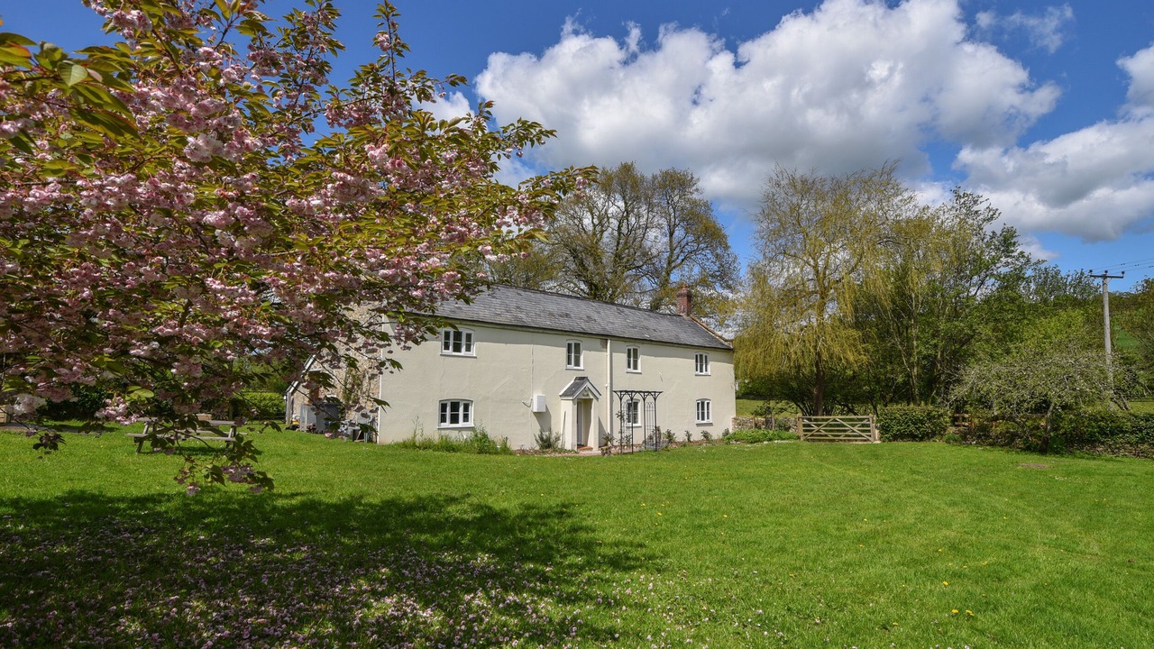 Photo of Outdoor in Axminster