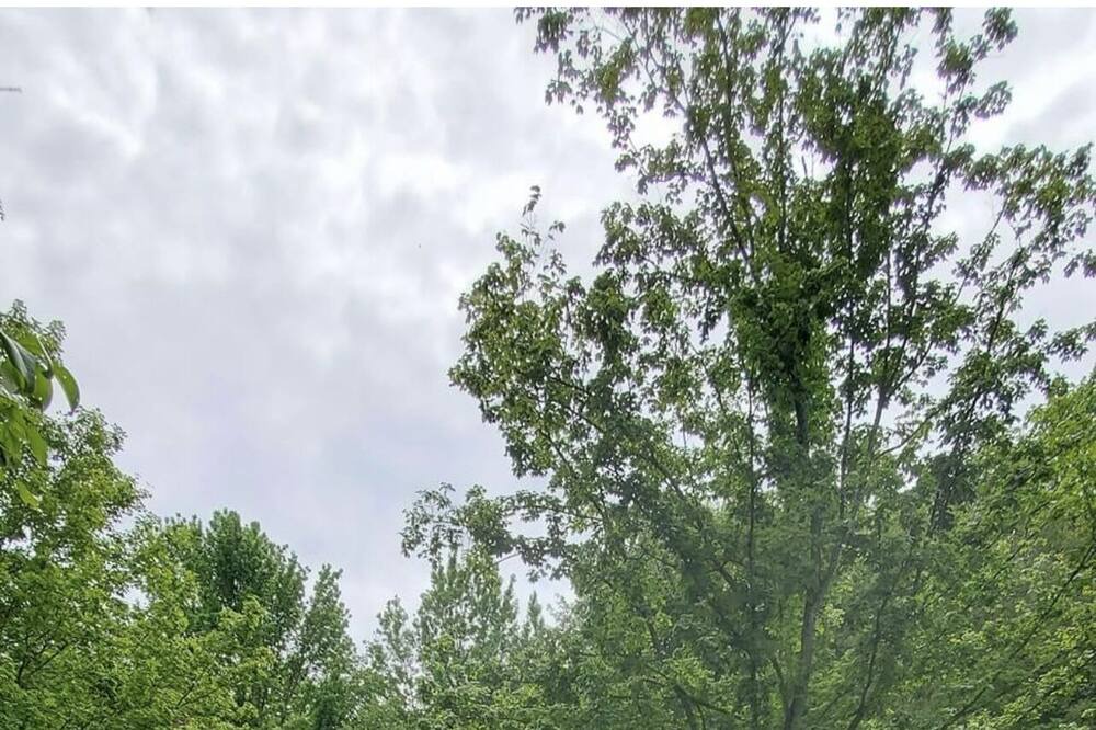 Photo of Outdoor in Joelton