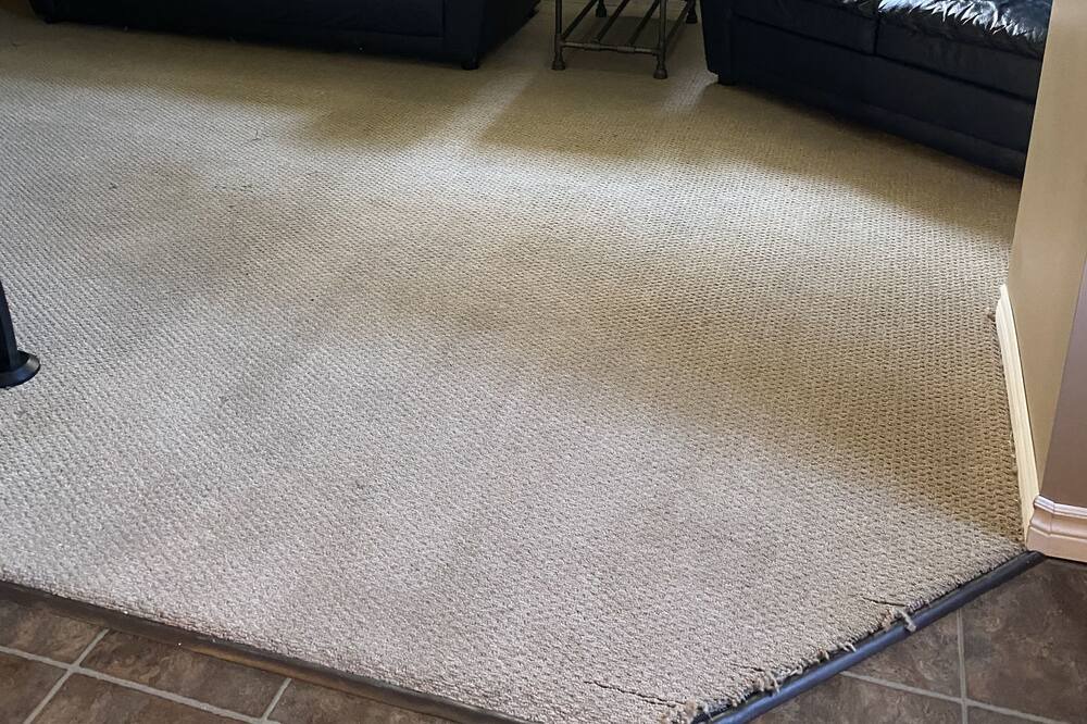 Photo of Livingroom in Point Edward