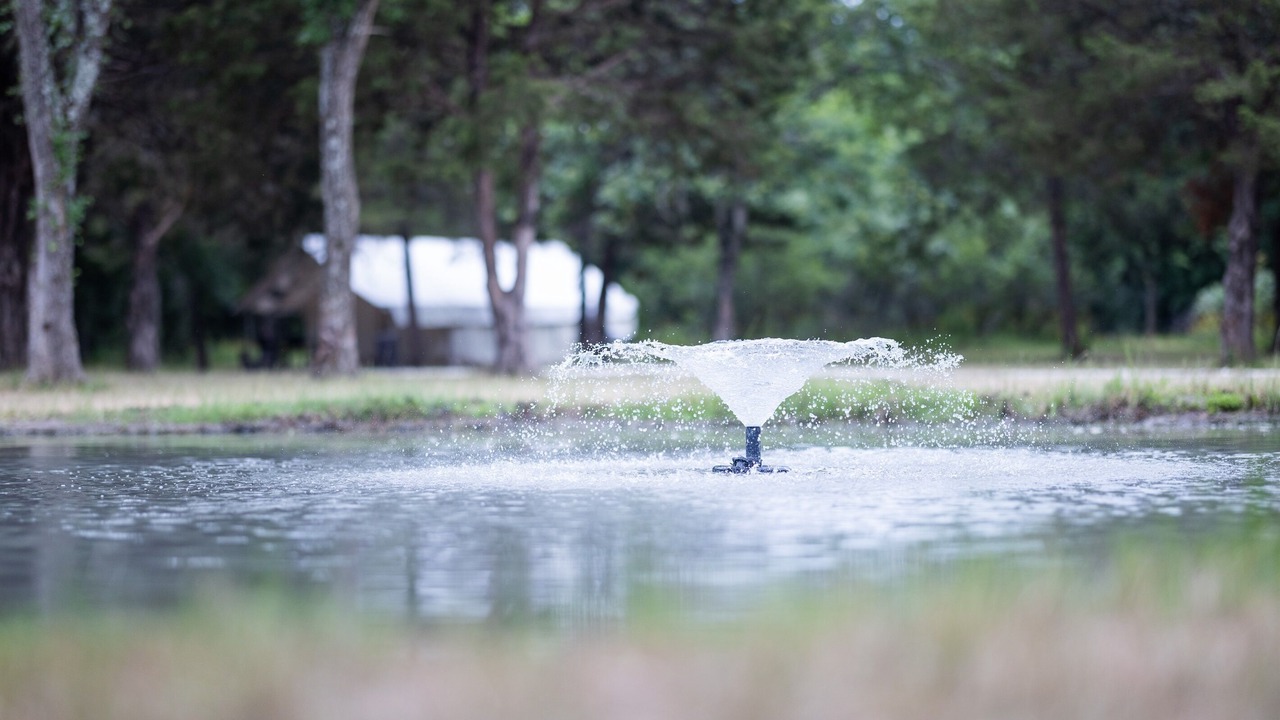 Photo of Others in Irene