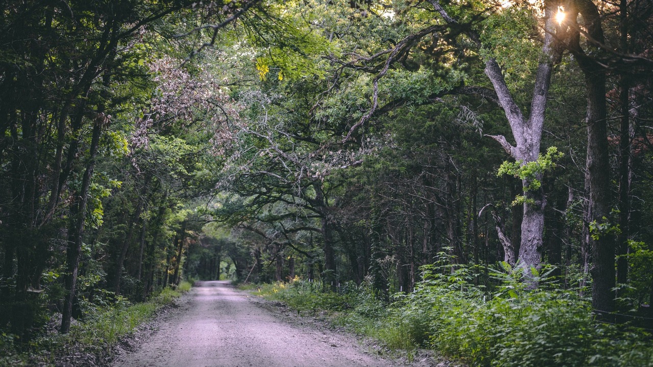 Photo of Outdoor in Irene