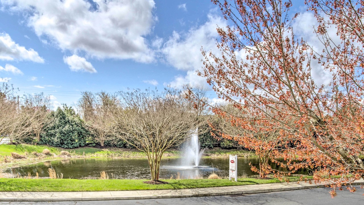 Photo of Others in Ocean View