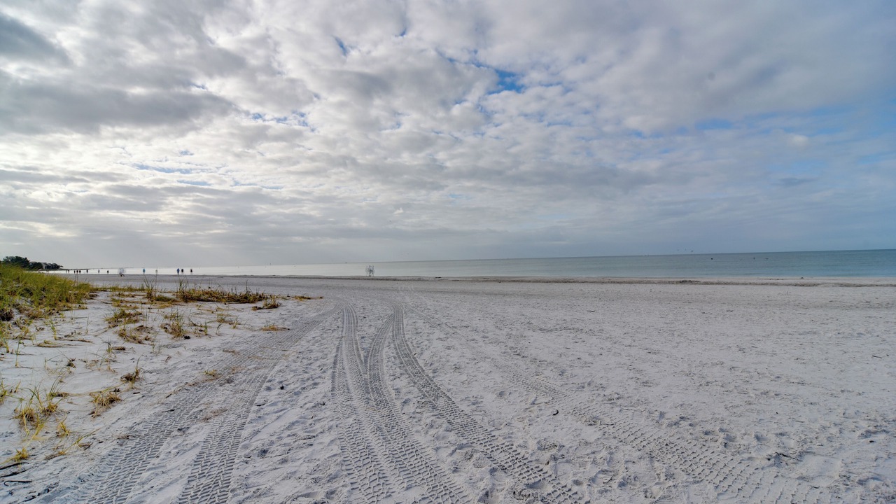 Photo of Others in Madeira Beach