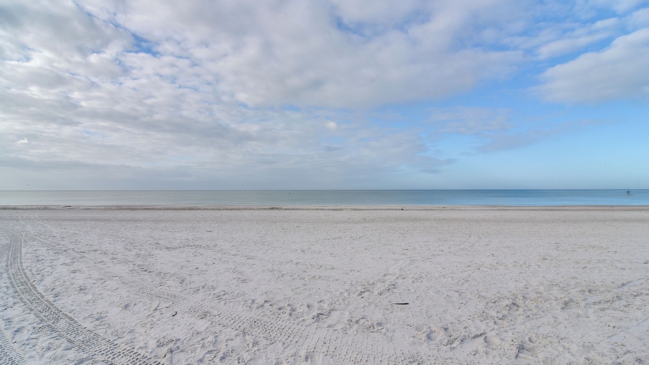 Photo of Others in Madeira Beach
