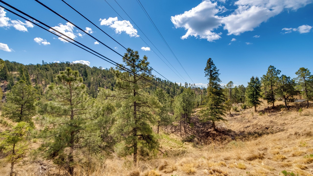 Photo of Others in Ruidoso
