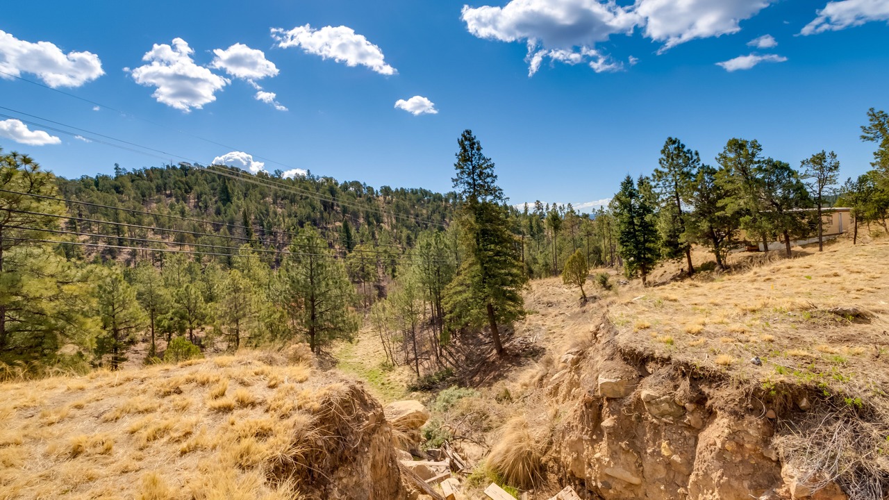 Photo of Others in Ruidoso