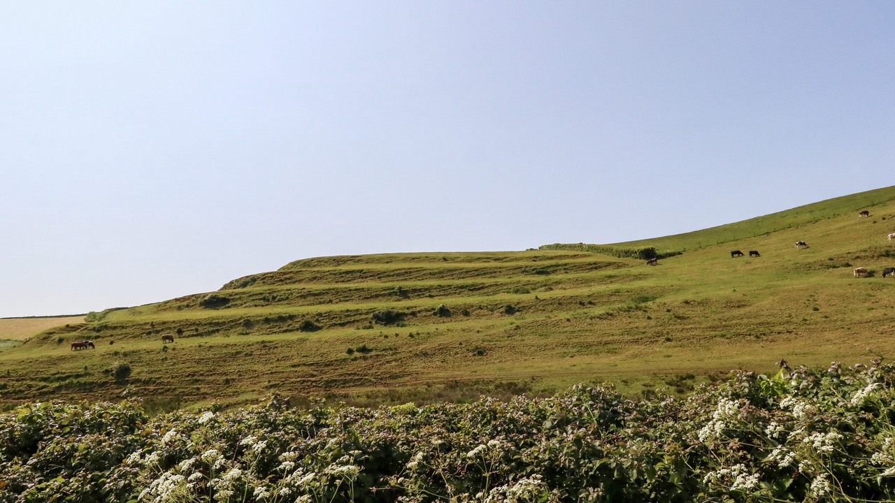 Photo of Outdoor in West Compton