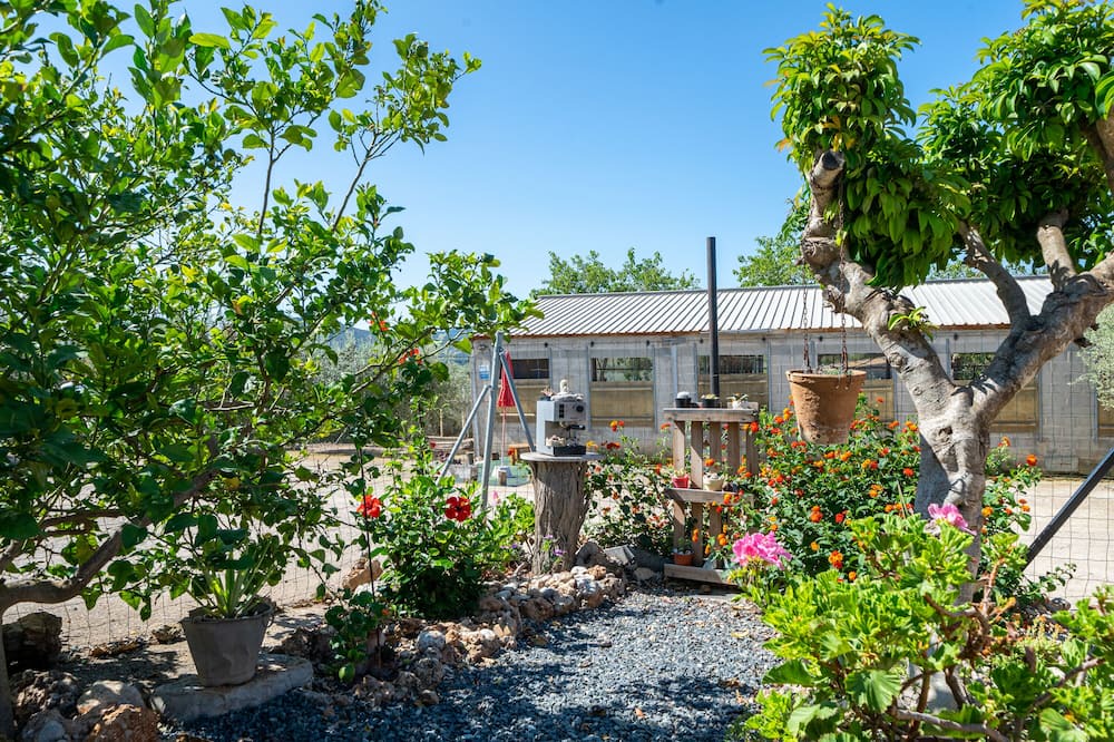 Photo of Outdoor in Amposta