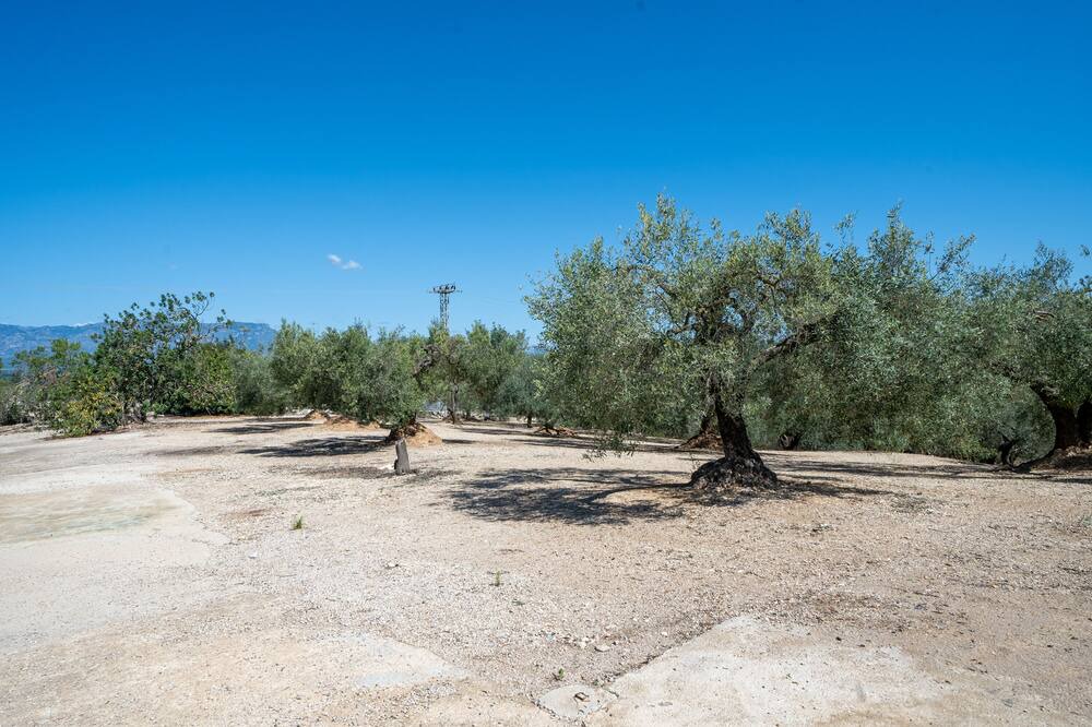 Photo of Outdoor in Amposta