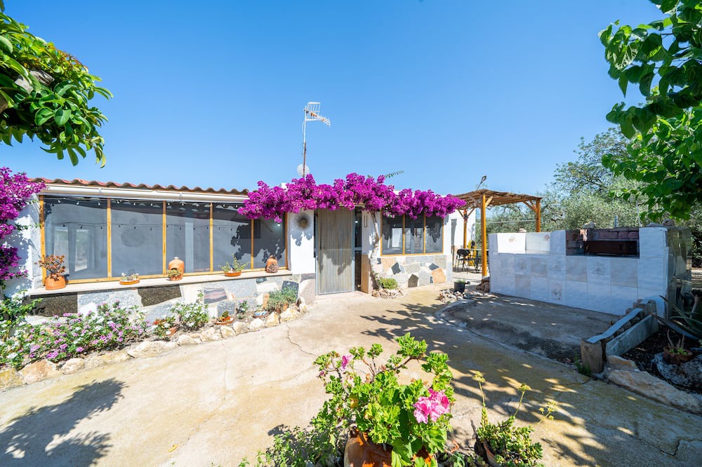 Photo of Outdoor in Amposta