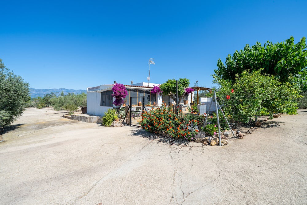 Photo of Outdoor in Amposta