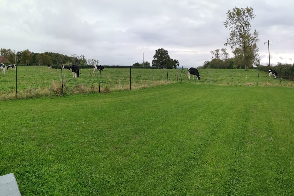 Photo of Others in Lynde