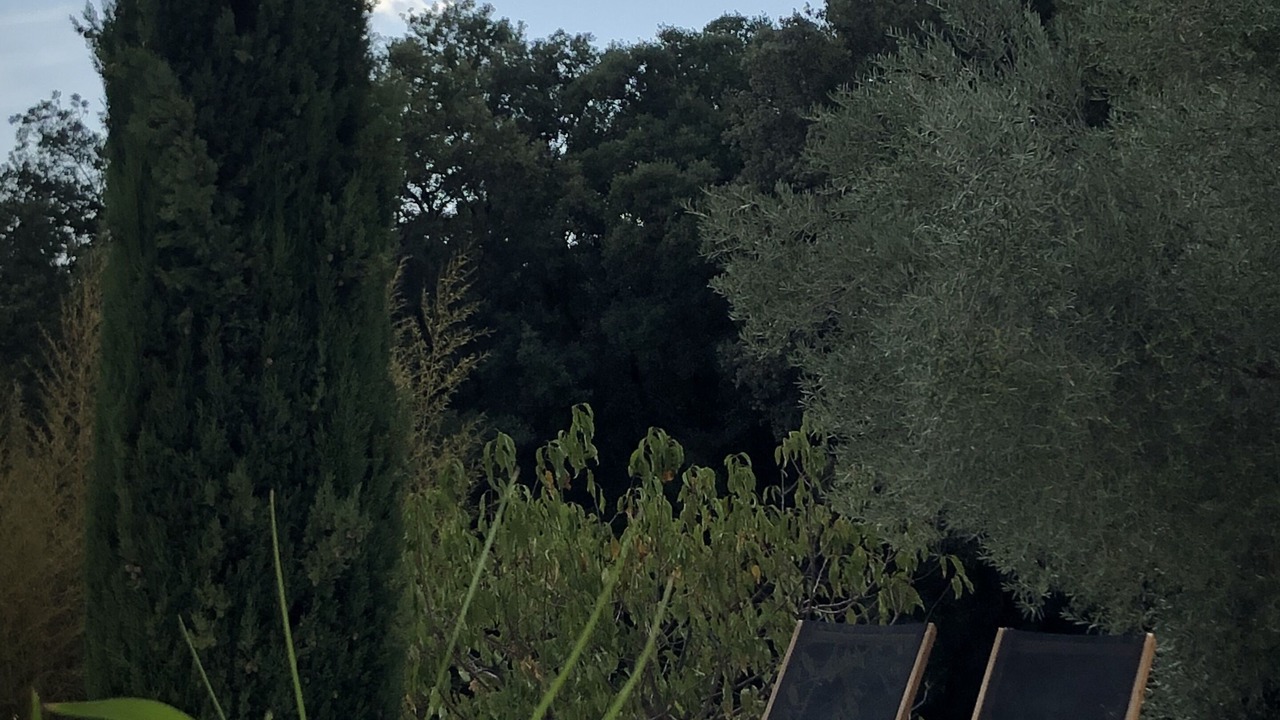 Photo of Outdoor in Puechabon