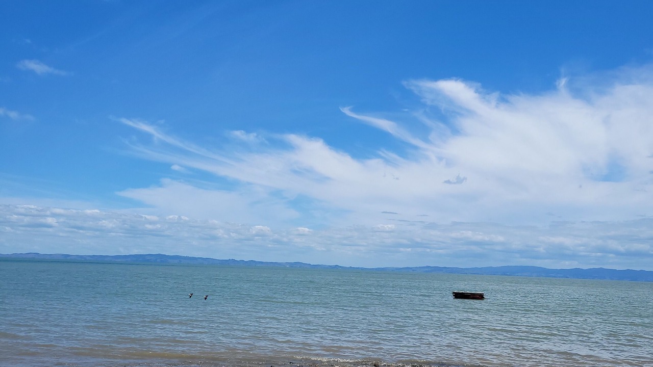 Photo of Others in Thames