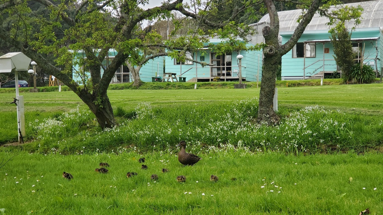 Photo of Outdoor in Thames