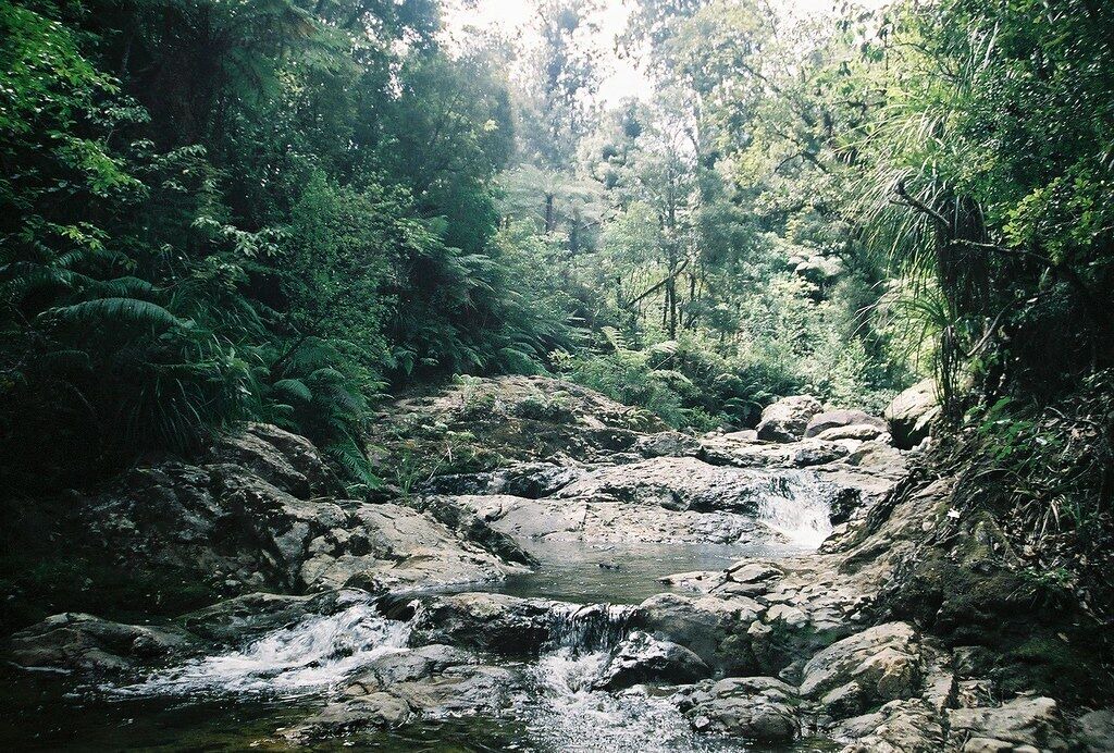 Photo of Others in Thames