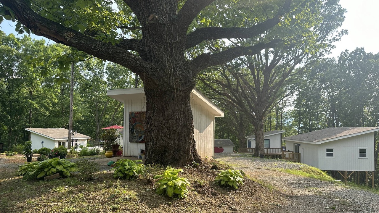 Photo of Outdoor in Wildwood