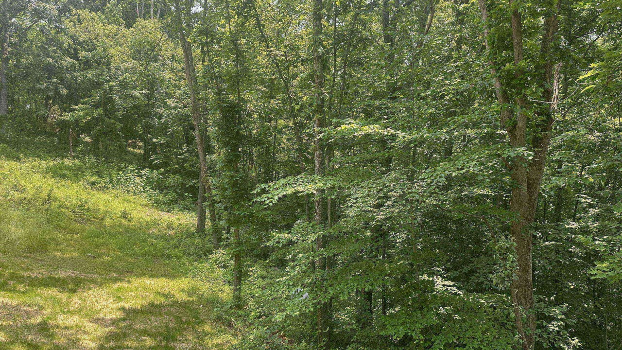 Photo of Outdoor in Wildwood