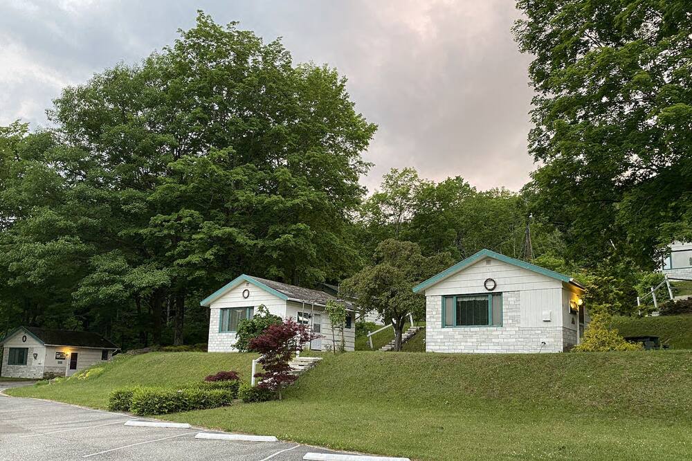 Photo of Outdoor in East Dorset