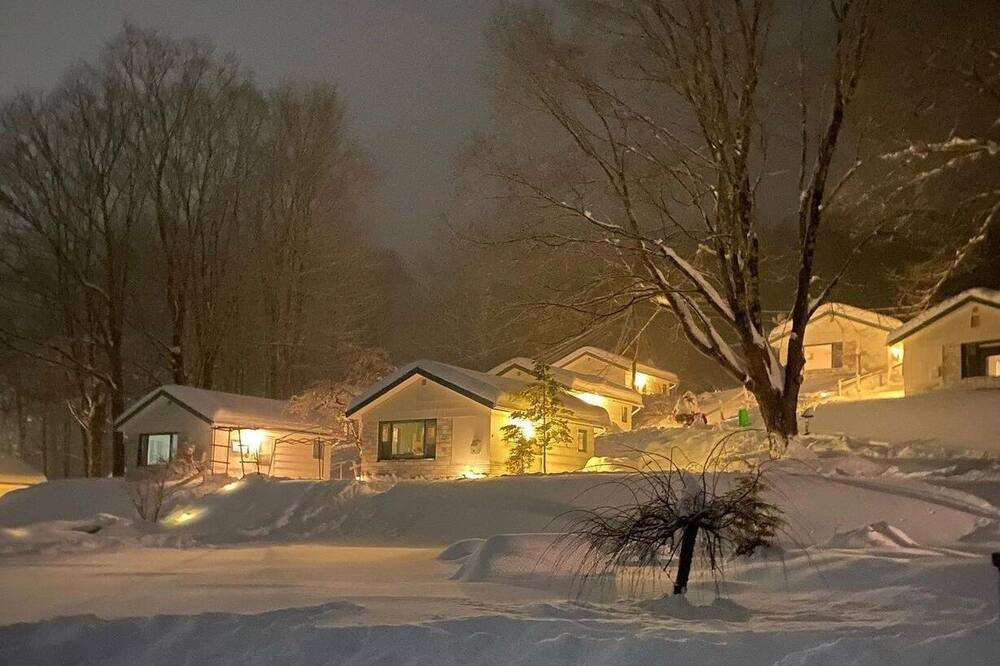 Photo of Outdoor in East Dorset