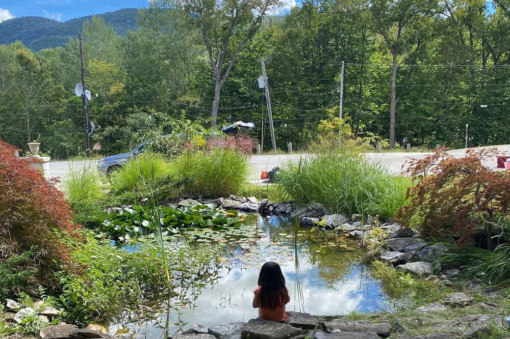 Photo of Outdoor in East Dorset