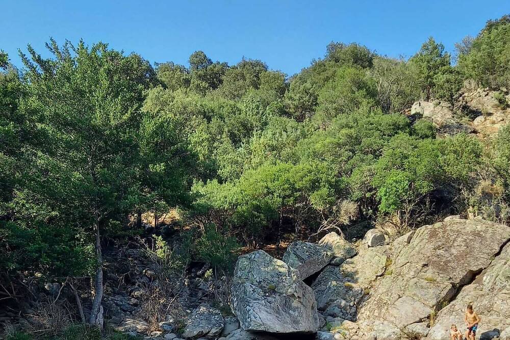 Photo of Others in Moltifao